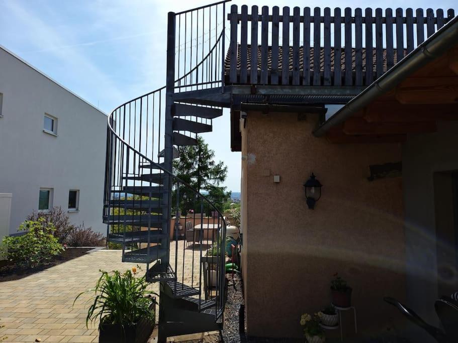 Blick Ueber Dresden - Terrasse - 3 Zimmer - Modern Renoviert Exterior foto